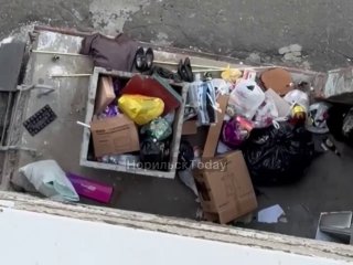 Крысы в подъезде: жильцы требуют улучшения санитарии