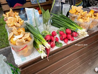 Свежие грибы уже на продажу: лисички, маслята и прогнозы сезона